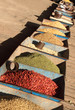 Spices