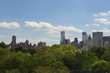Central park - New york city