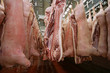 raw meat