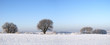 Winter beauty -  nature