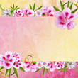 Background for congratulation card Background for congratulation card