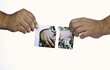 Photo: End of Marriage End of Marriage