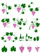 Winery design object silhouettes. Vector illustration.