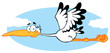 Stork Flying In The Sky Stork Flying In The Sky