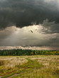 Rural landscape. Cloudy day in Siberia. Rural landscape. Cloudy day in Siberia.