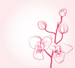 background with sakura flowers drawing background with sakura flowers drawing