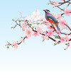 blossoming cherry tree with beautiful bird vector