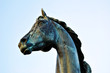 Horse Head Sculpture