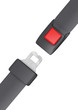 seat belt