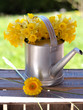 jonquilles et gerbera