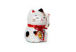 Lucky cat Lucky cat