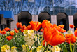 Spring in the City