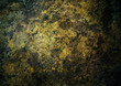 grunge wall for texture