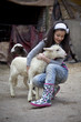 Newborn lamb