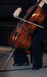 classical music bass instrument player classical music bass instrument player