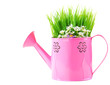 Watering can of fresh spring wild flowers
