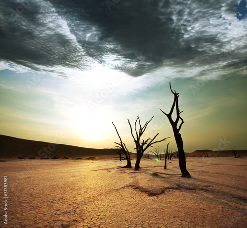 Photo: Namib Namib