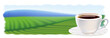 A cup of coffee and coffee plantations. Panorama.