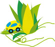 voiture bio carburant