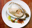 Fresh oyster