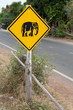 Achtung Elefant
