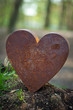 Herz im Wald