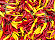 Chili