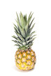 One pineapple fruit on white background