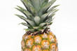 One pineapple fruit on white background