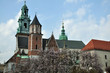 wawel katedra