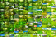 Nature wallpaper Nature wallpaper