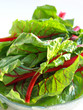 Swiss chard up close