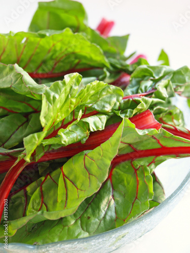 Photo: Chard right side Chard right side