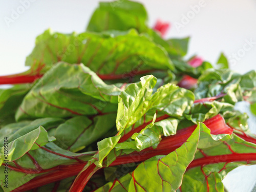 Photo: Chard leaves up close Chard leaves up close