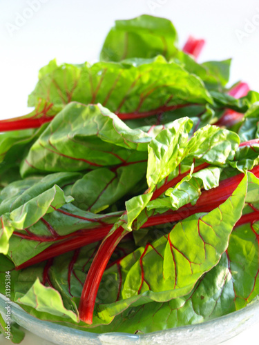 Photo: Swiss chard up close Swiss chard up close