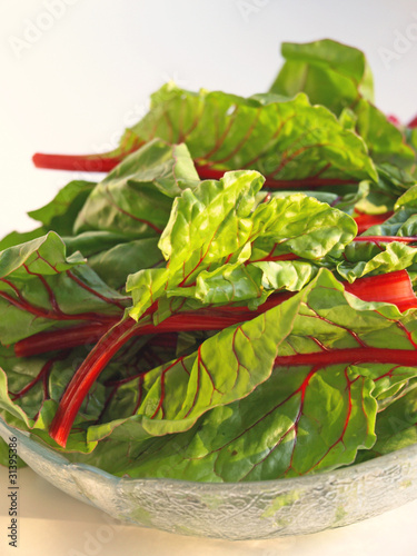 Photo: Swiss chard Swiss chard