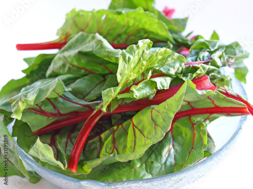 Photo: Full bowl of chard Full bowl of chard