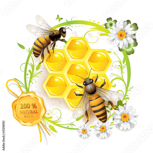 Vector: Two bees and honeycombs over floral background Two bees and honeycombs over floral background