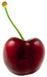 cerise mûre