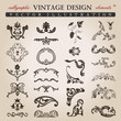 flower calligraphic vintage royal design elements