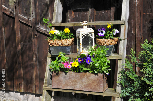 Photo: Blumen Treppe Blumen Treppe