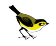 silhouette of the bird on white background