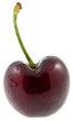 cerise