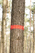 Baummarkierung