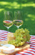 Various sorts of cheese with white wine