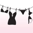 Pantie, bra and  lingerie