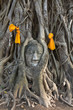 Head of The Sand Stone Buddha Image Head of The Sand Stone Buddha Image