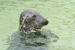 Texel - 2009