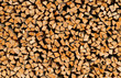 Holzstapel im Sonnenlicht - Background Image