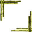 Bamboo frame